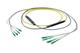 Pasternack PE3FCA242-25M