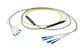 Pasternack PE3FCA245-25M