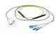 Pasternack PE3FCA245-30M