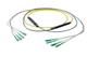 Pasternack PE3FCA248-15M