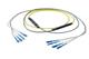 Pasternack PE3FCA249-25M