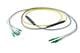 Pasternack PE3FCA310-25M