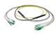 Pasternack PE3FCA380-25M