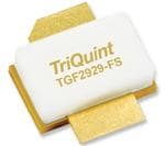 Qorvo TGF2929-FS Vergrößertes Bild