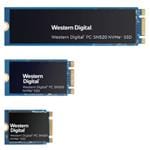 SanDisk SDAPNUW-256G Vergrößertes Bild